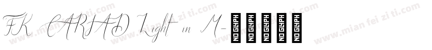 FK CARIAD Light in M字体转换